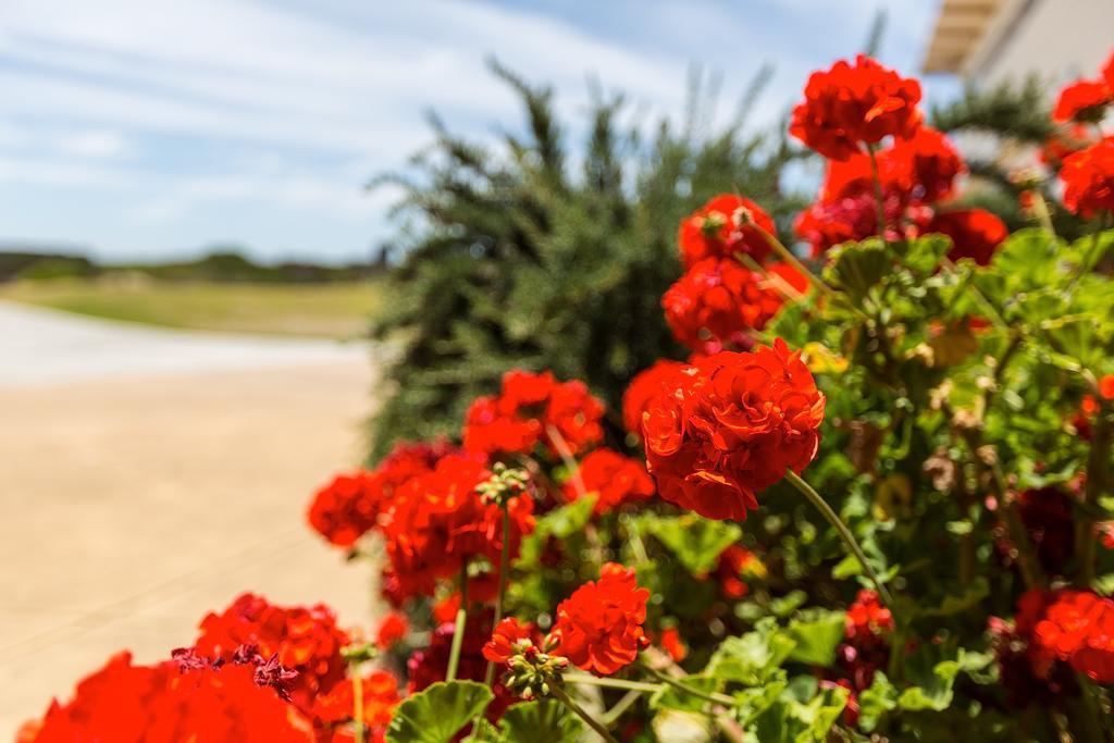 Cottages For Couples Port Fairy Buitenkant foto